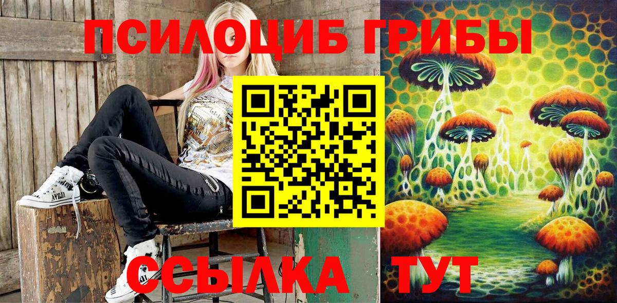 Галлюциногенные грибы Psilocybe Норильск