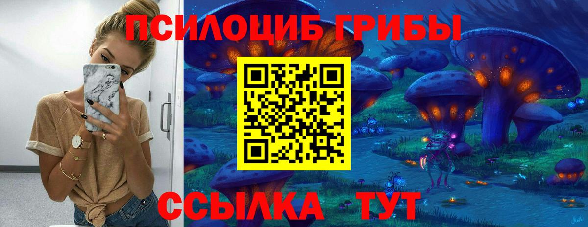 Норильск  Псилоцибиновые грибы ЛСД  Галлюциногенные грибы прущие грибы  где купить   Вход с VPN 